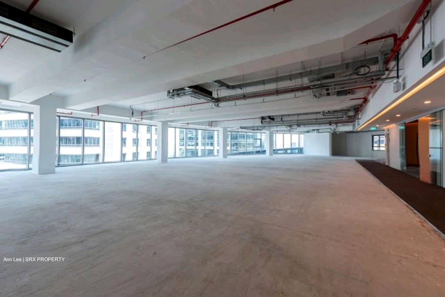 PLUS (D1), Office #560761661